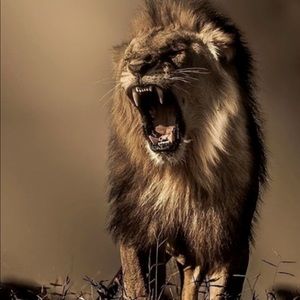 Meet your Posher, Stefano